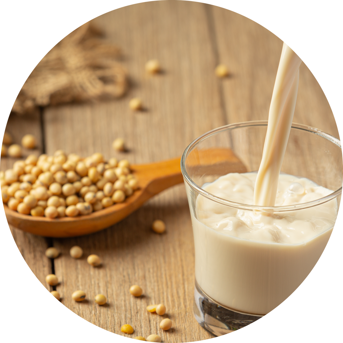 Dairy Soy Bestco Online Store 100-recipes-and-tips-to-satisfy-creamy-dairy-free-cravings